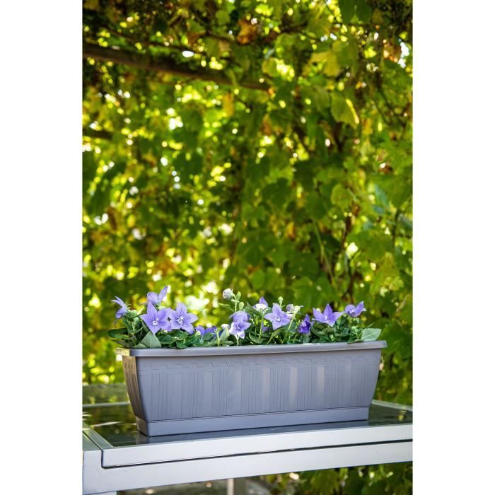 Jardiniere - GARDEN ID Terraflor - Antracite 60 cm - Durabilità - Riserva d&