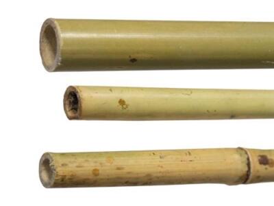 25 PZ CANNE CANNA DI BAMBOO PALI PALETTI TUTORE H.210 CM SPESSORE  22/24 mm
