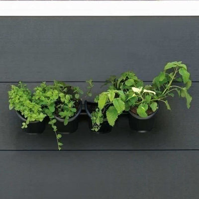 Fioriera da parete - Kit da parete composto da supporto a muro e 4 vasi (1 L) - Nero - Dim H 15 x L 60 cm - NATURA