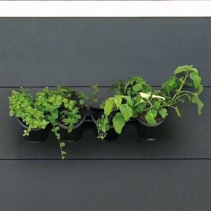 Fioriera da parete - Kit da parete composto da supporto a muro e 4 vasi (1 L) - Nero - Dim H 15 x L 60 cm - NATURA