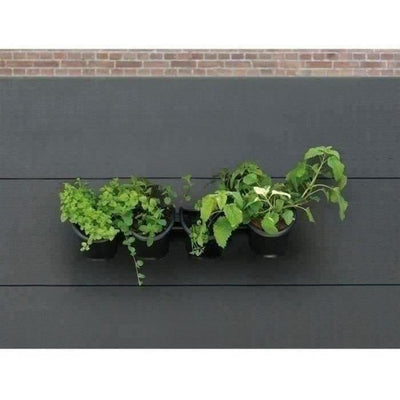 Fioriera da parete - Kit da parete composto da supporto a muro e 4 vasi (1 L) - Nero - Dim H 15 x L 60 cm - NATURA