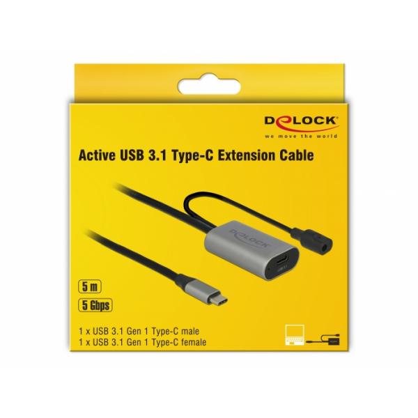 Delock USB-Verlangerungskabel - 24 pin USB-C (M)