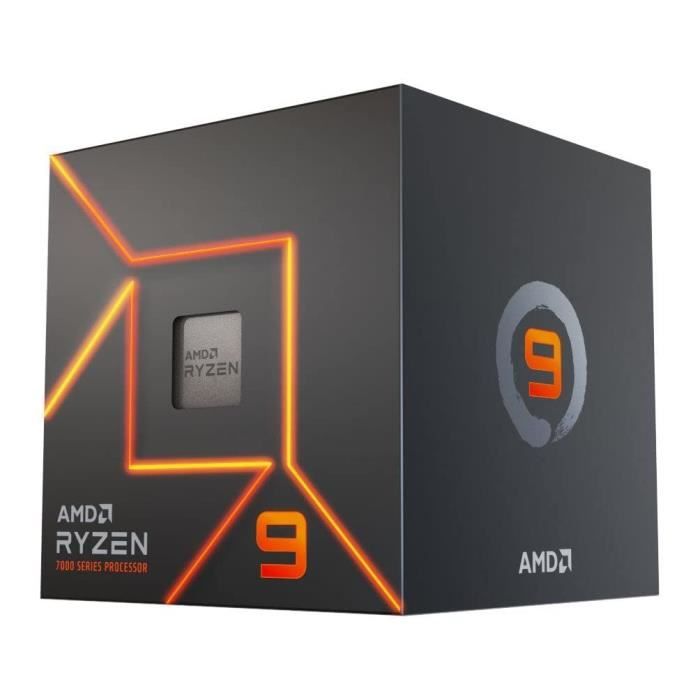 Processore - AMD - Ryzen 9 7900