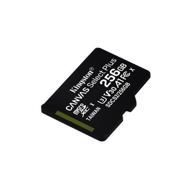 256GB micSDXC Canvas Select