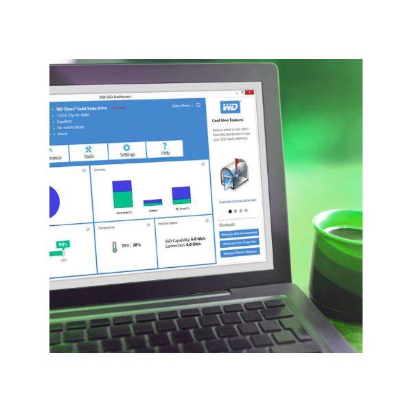 Hard disk SSD Western Digital Green WDS480G3G0B M.2 - 480 Gb - Slot M.2 - Stato Solido - Lettura 545 MB/S