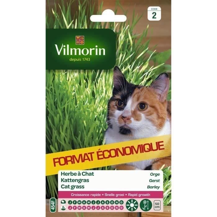 VILMORIN Bustina di semi di erba gatta Orzo