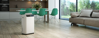 Olimpia Splendid Aquaria S1 24 P Deumidificatore 5 L 390 W Bianco (02065)